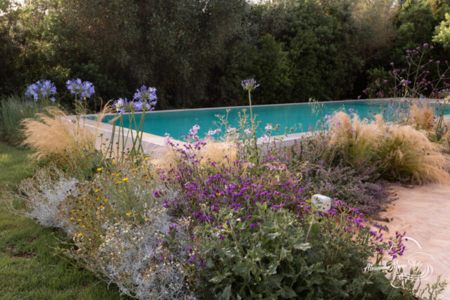 Garden Photo Alessandra Mango