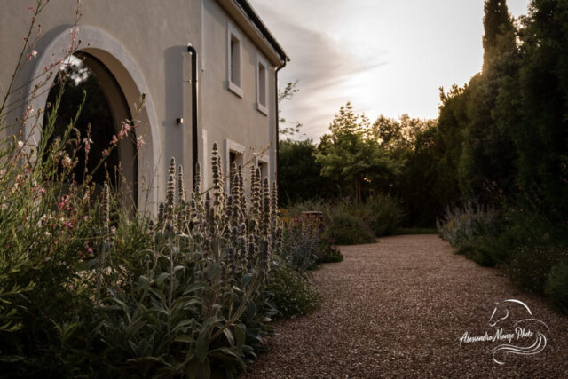 Garden Photo Alessandra Mango